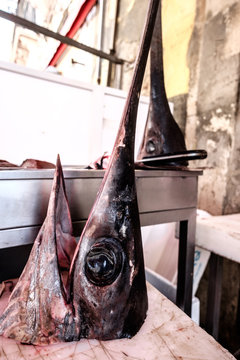 decapitated swordfish head in a sicily market (Ortigia)