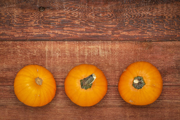 pumpkin goards on rustic wood