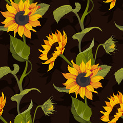 Sunflower vector seamless pattern floral texture on black backgrounds