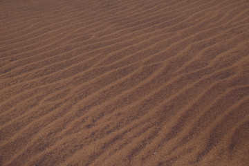 Fototapeta na wymiar Closeup of micro dune texture on namib desert