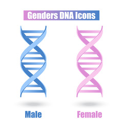 Gender Male and Female DNA Icon Structure Molecular Science and Biology Concept on White Background - Vector Illustration