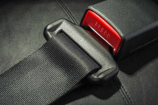 seat belt