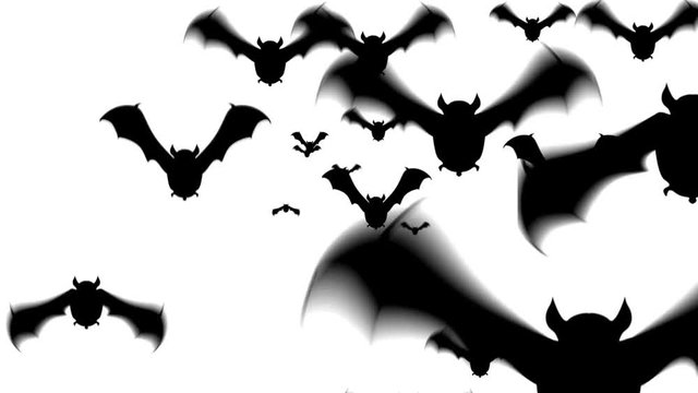Scary bat animation for halloween