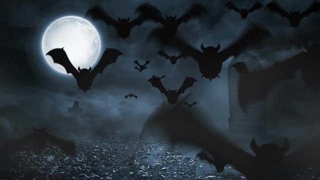 Scary bat animation for halloween in graveyard