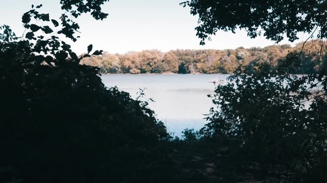 Slow reveal of a beautiful lake, surrounded by trees that emulate an early Autumnal hue.