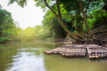 Bamboo raft parked near the big tree waiting for serve a tourist.