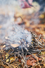 bonfire with smoke in autumn forest