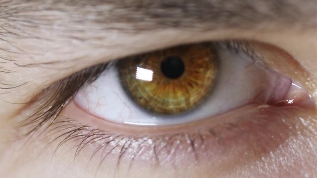 Iris pupil contracting slow motion
