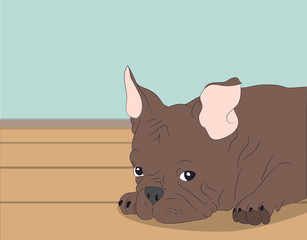 dog portrait profile, look down