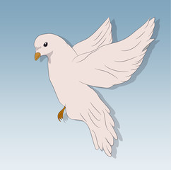 bird in flight against the sky, vector