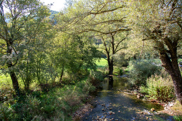 Obraz premium Ruscello