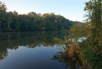 Valleys pond in Rambouillet forest