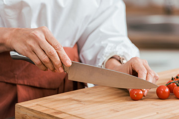 cropped image of woman preparing salad for dinner and cutting cherry tomatoes in kitchen