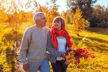 Senior couple walking in autumn forest. Middle-aged man and woman hugging and chilling outdoors