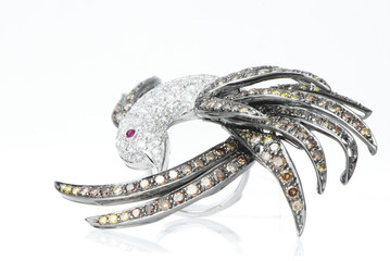 luxury jewelry on white background