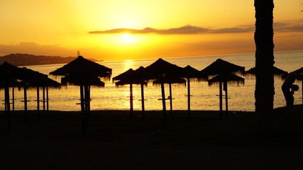 sunrise at the beach in Malaga golden hour umbrellas and palm trees