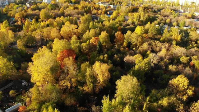 Flight over Autumn forest on outskirts of Moscow in Russia