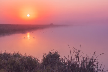 Picturesque landscape with foggy morning on the lake in summer