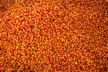 fresh ripe seabuckthorn as textured background