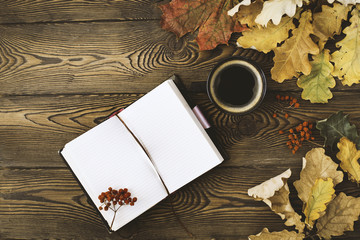 Naklejka na ściany i meble Top view of the diary, a cup of hot coffee, autumn oak leaves and rowan berries on a wooden background. Copy space. Cozy. Autumn concept.