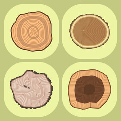 Tree wood trunk slice texture circle cut wooden raw material vector detail plant years history textured rough forest tree top.
