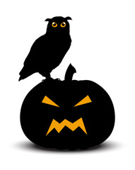 Halloween pumpkin with owl silhouettes