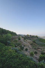 view of vineyards. trevels
