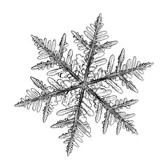 Snowflake isolated on white background. This illustration based on macro photo of real snow crystal: beautiful stellar dendrite with hexagonal symmetry, complex, ornate shape and six elegant arms.