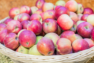 close up of red ripe apples in a basket at the farmer's market