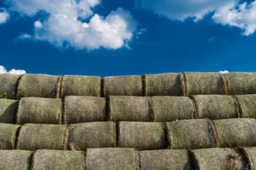 Straw rolls with blue skies and clouds