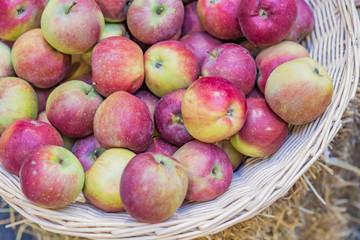 close up of red ripe apples in a basket at the farmer's market