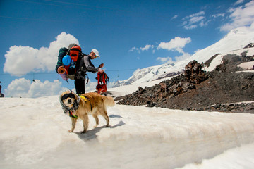 couple with dog in mountains