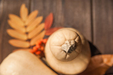 The concept of autumn. Pumpkins and leaves yellow on a wooden textural background. Copy space