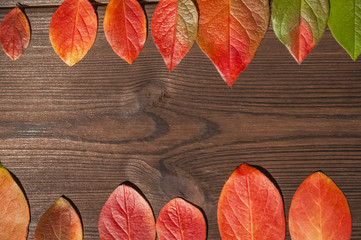 The concept of autumn. Yellow, green and red autumn leaves on a wooden textural background close-up and as a frame for text. Copy space