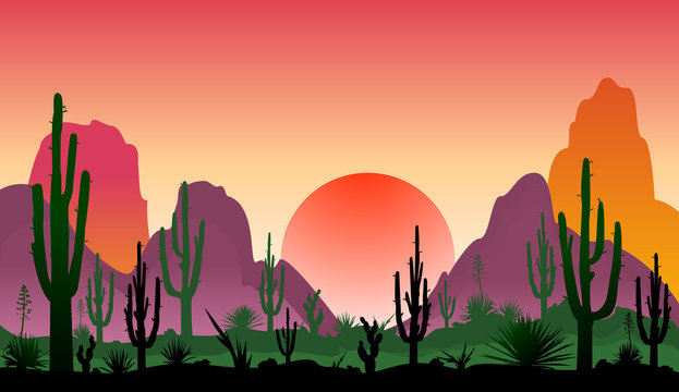 Landscape of rocky desert with cacti. Sunset in a stony desert with cacti