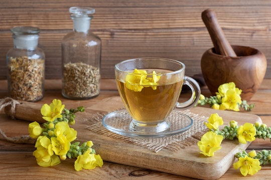 A Cup Of Mullein Tea With Fresh Mullein Flowers