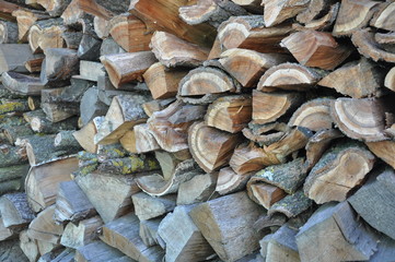 scattering of firewood in the territory of a country house. texture