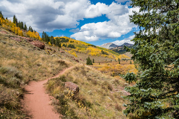 Autumn colours in Cement Creek, Crested Butte, Colorado USA