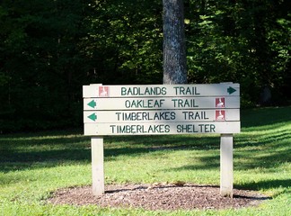 The wood trail sign in the sunlight of the grass.