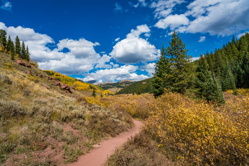 Naklejka na ściany i meble Autumn colours in Cement Creek, Crested Butte, Colorado USA