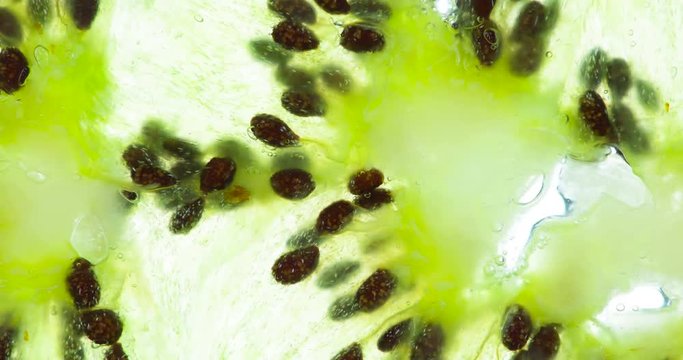 Crushing Slices of Kiwi. Kiwi fruit slices are compressed and crushed close-up on a bright white background, creating a juicy burst of pulp and seeds. Shooting at 120fps