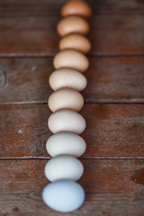  Fresh chicken eggs on a wooden background. Eggs are composed of a gradient from light to dark.