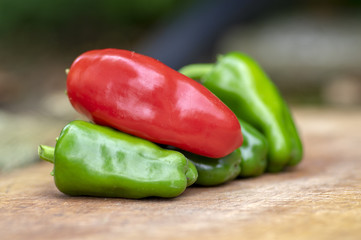 Capsicum annuum Jalapeno chilli hot peppers, group of green and red fruits on wooden cutting board