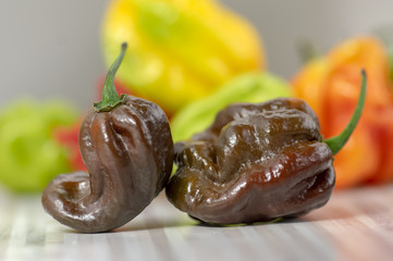 Group of hot peppers habanero, various color on wooden table, mexican cuisine very hot ingredients, ripened and unripened fruits
