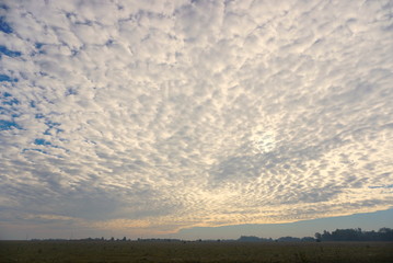 Amazing morning sky. Morning sky with many small clouds. 