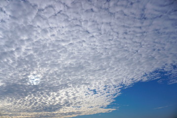 Obraz premium Amazing morning sky. Morning sky with many small clouds. 