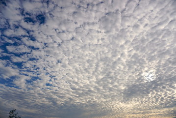 Naklejka na ściany i meble Amazing morning sky. Morning sky with many small clouds. 