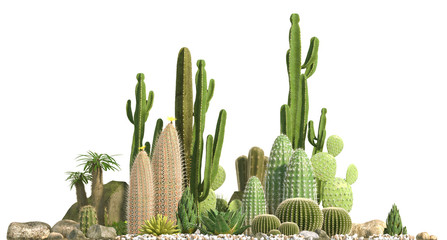 Decorative composition composed of groups of different species of cacti, aloe and succulent plants isolated on white background. Front view. 3D rendering. - obrazy, fototapety, plakaty