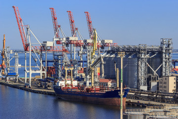 Fototapeta premium Bulk carrier near the grain terminal in the seaport