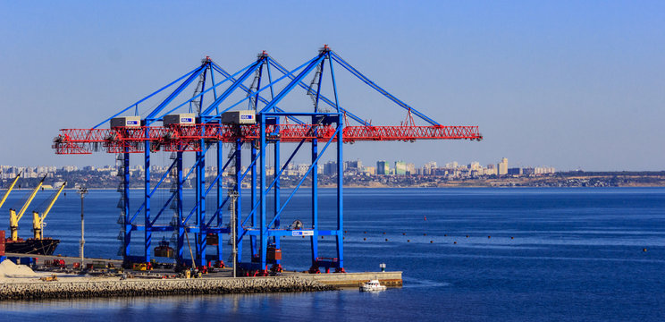 Cranes in the cargo port